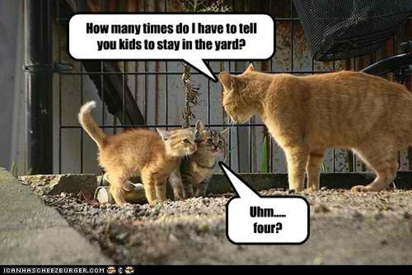 <p>A question asked merely for effect with no answer expected.</p>