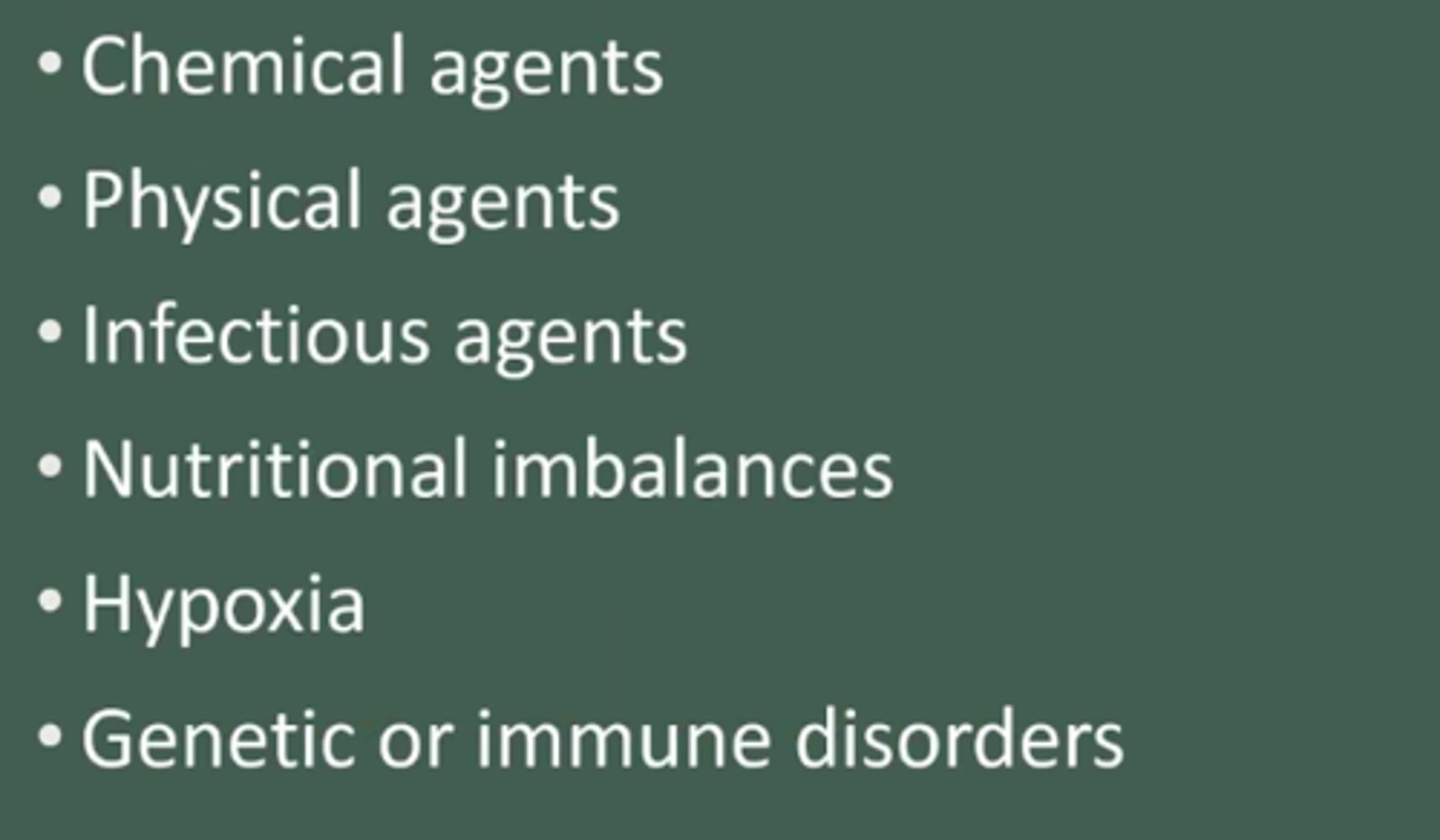 <p>•Chemical agents</p><p>•Physical agents</p><p>•Infectious agents</p><p>•Nutritional imbalances</p><p>•Hypoxia (opioids, PE, ect.)</p><p>•Genetic or immune disorders</p>