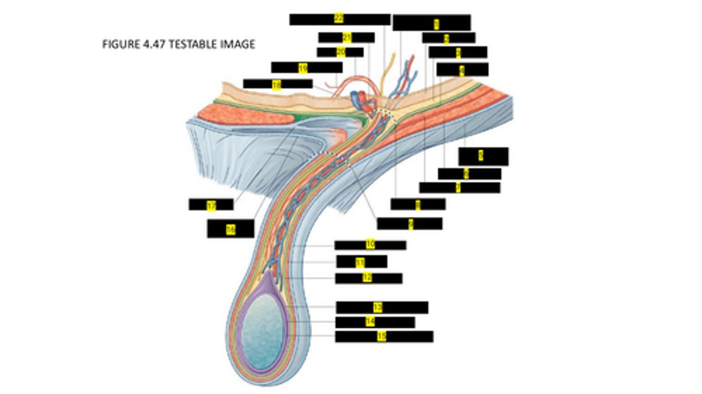 <p>16</p>