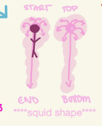 <p><span style="background-color: transparent;"><span>Cephalocaudal pattern</span></span></p>