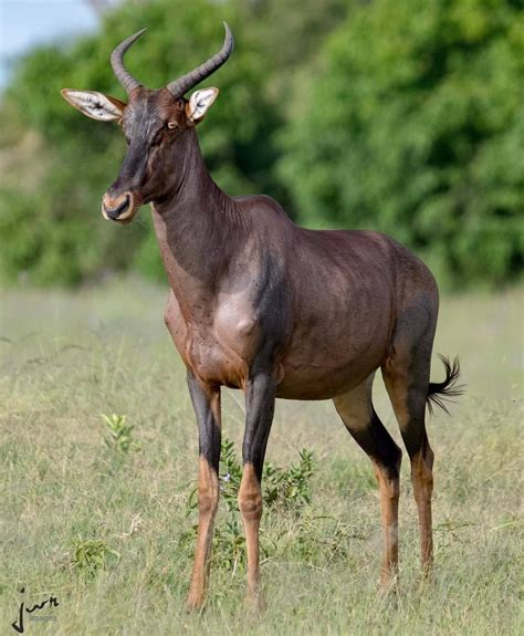 <p>Vic Falls, Chobe NP, Okavango Delta, Bagani, Grootfontein, Kruger NP</p>