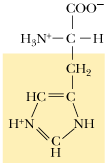 <p>What amino acid is this</p>