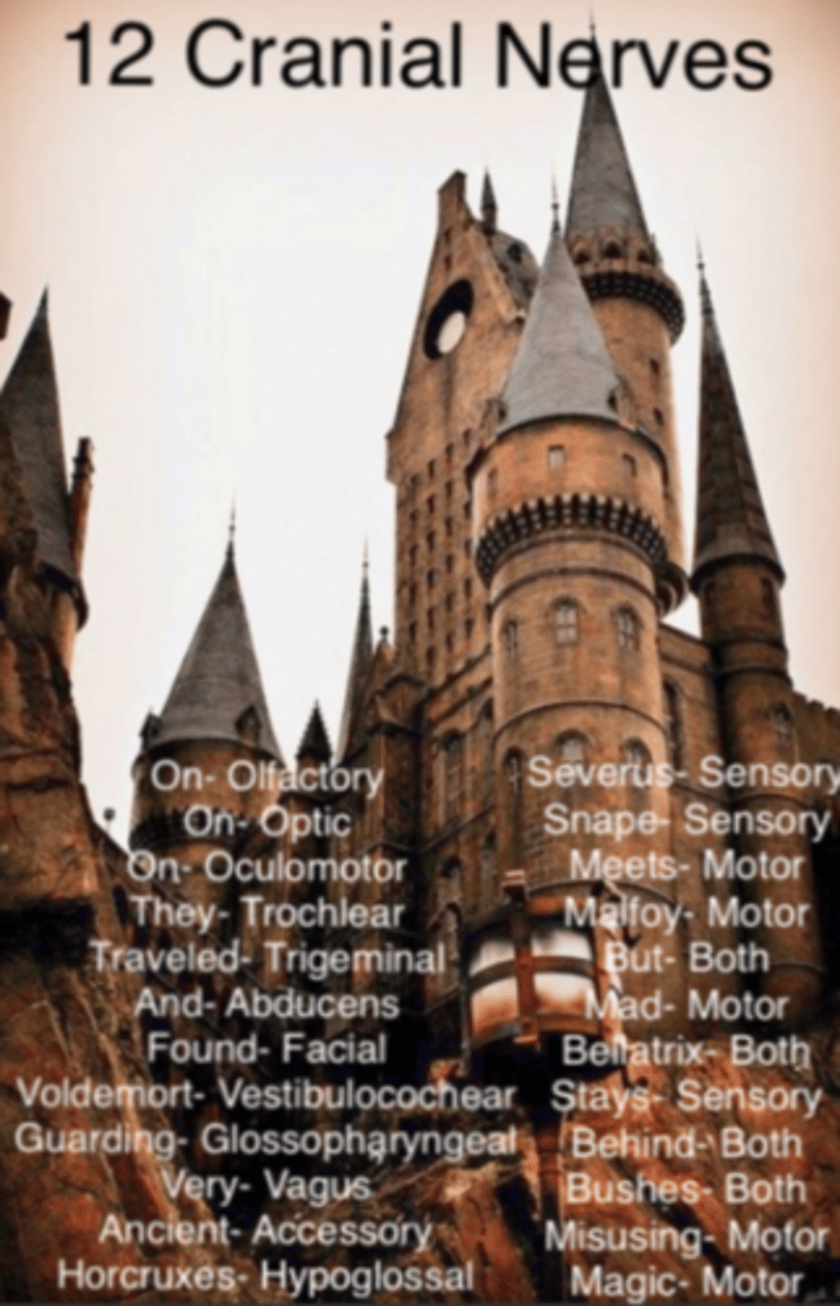 <p>Someone</p><p>Said</p><p>Marry</p><p>Money</p><p>But</p><p>My</p><p>Big</p><p>Brother</p><p>Said</p><p>Big</p><p>Brains</p><p>Matter</p><p>More</p>