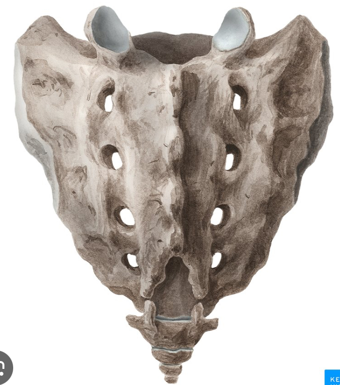 <p>What is this?</p>