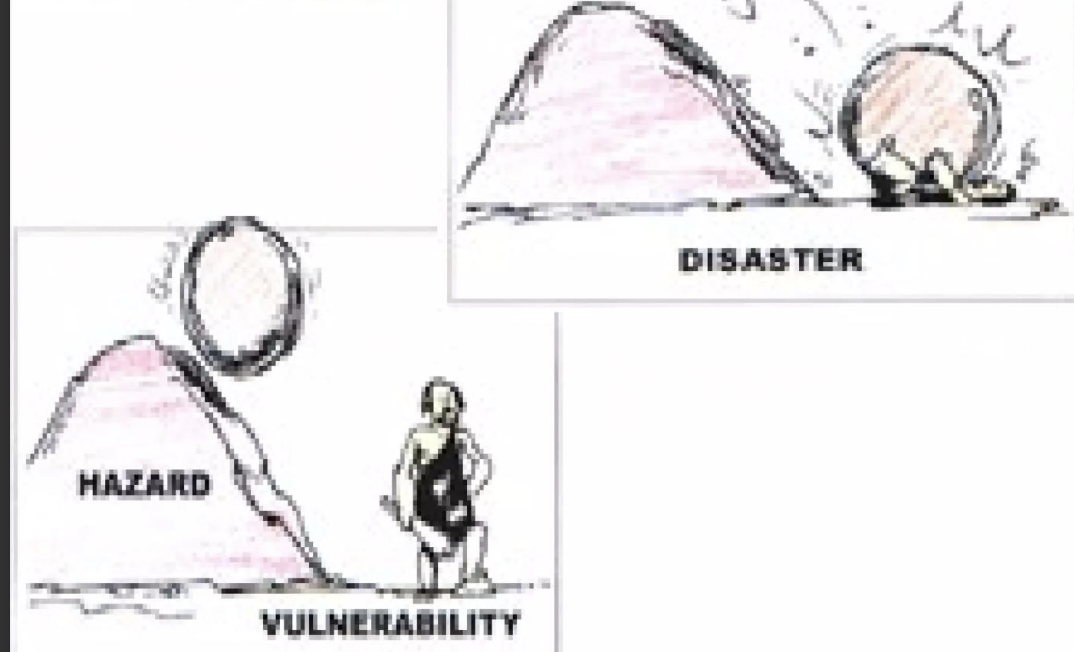 <p>Vulnerability </p>