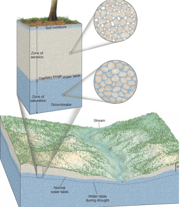 <p>Zone of aeration</p>