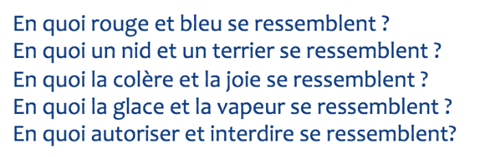 <p>→ capacités à former des concepts verbaux et des catégories hiérarchisées </p><ul><li><p>niveau</p><ul><li><p>concret </p></li><li><p>fonctionnel </p></li><li><p>abstrait </p></li></ul><p>… des réponses</p></li><li><p>exemples </p></li></ul><p></p>