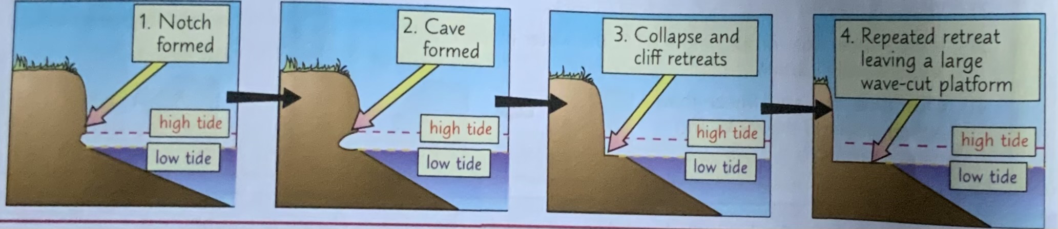 <p>1) At high-energy coastlines, hydraulic action + abrasion can cause formation of wave-cut platforms</p><p>2) Powerful destructive waves attack base of cliff at high tide</p><p>3) The hydraulic action + abrasion creates wave-cut notch which over time increases in size - this is called undercutting</p><p>4) Eventually overhang created by undercutting collapses due to weathering + gravity</p><p>5) The cliff retreats, leaving a wave cut platform that is exposed at low tide</p>