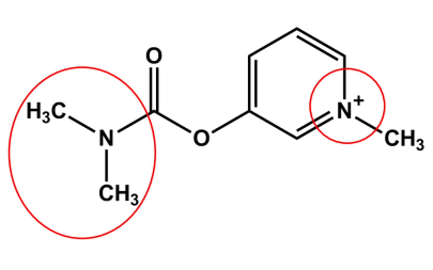 <p>Bulkier carbamate</p><p>Duration of action 5-6 hours</p><p>LogP ca. -1.7</p><p>Quaternary amine</p><p>No CNS effects (why?)</p><p>Use: control of Myasthenia gravis; Antidote to some NMJ blockers</p>