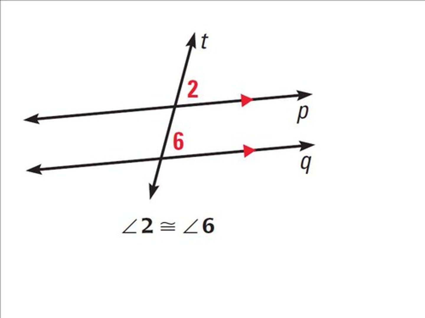 <p>The two angles are in the same position at each parallel line. They are congruent.</p>