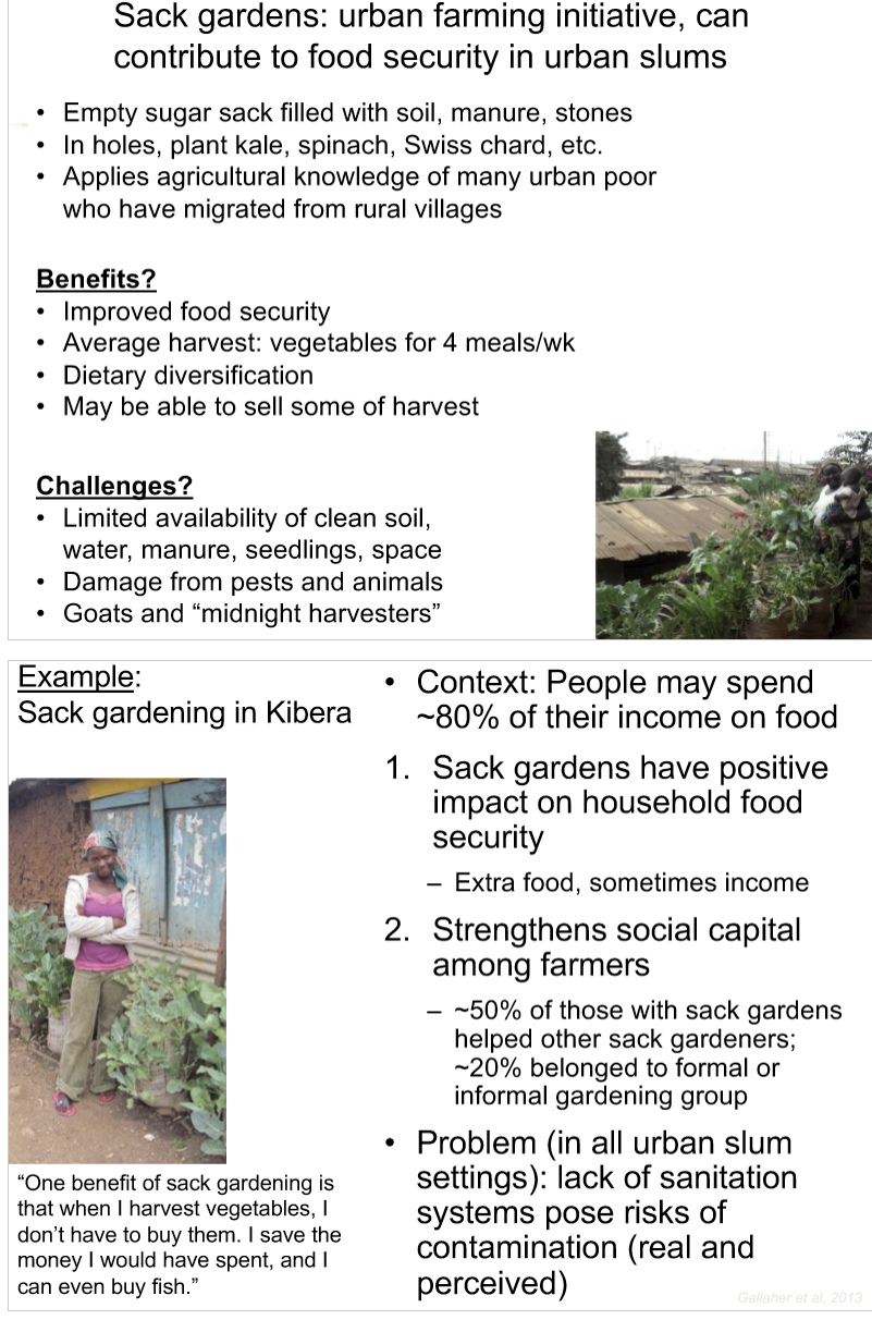 <p>growing extra food on own, can help with income, strengthens social capital among farmers but theres lack of sanitation→risk of contamination</p>