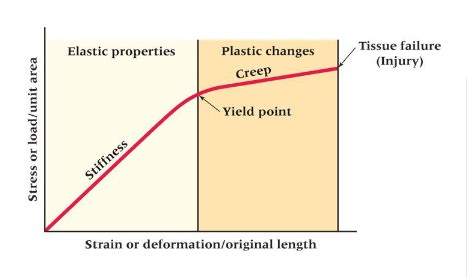 <p><strong>stiffness → </strong>ability of a tissue to resist a load</p><p><strong>yield point → </strong>indicates the limit of elastic behaviour + the beginning of plastic behaviour</p><p><strong>creep →</strong> deformation in the shape/properties of a tissue that occurs under the influence of persistent mechanical stress</p>