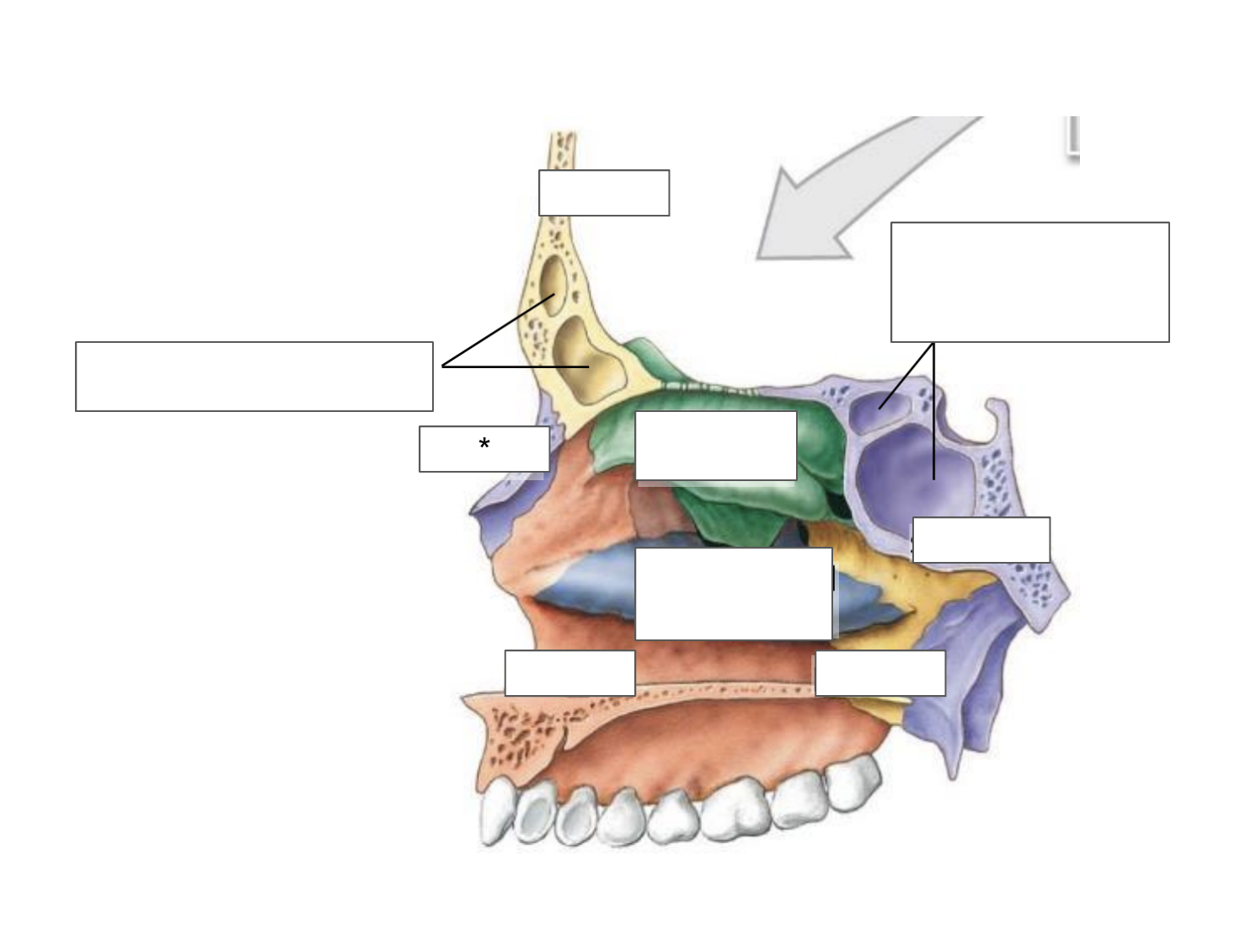term image