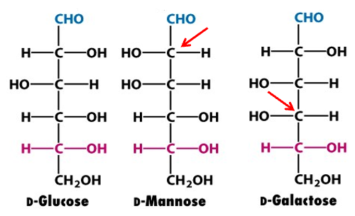 <p>-stereoisomers that duffer in configuration at a single asymmetric carbon </p>
