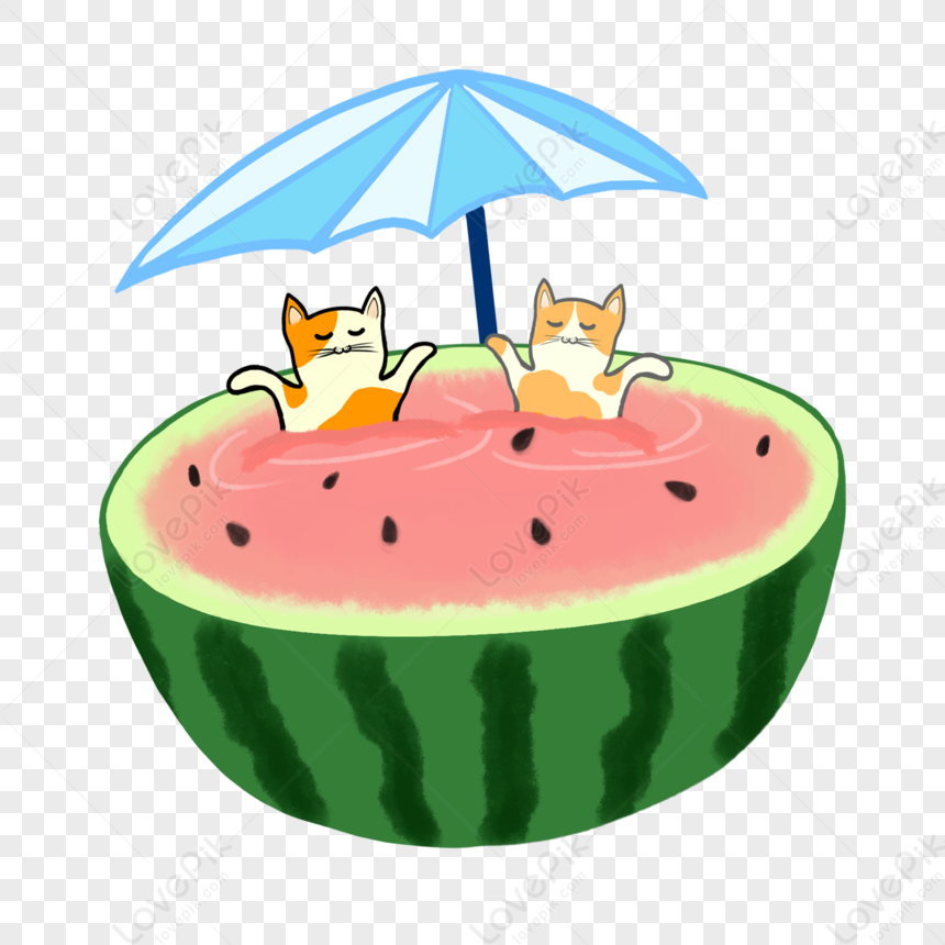 <p>21 Summer (n)</p>