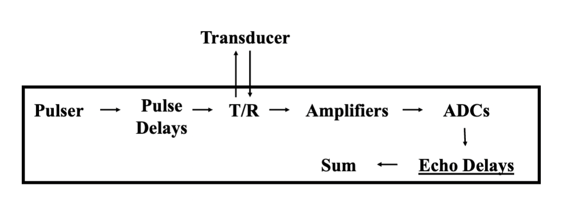 <p>What does the beam former do in an ultrasound system and what are its key components</p>