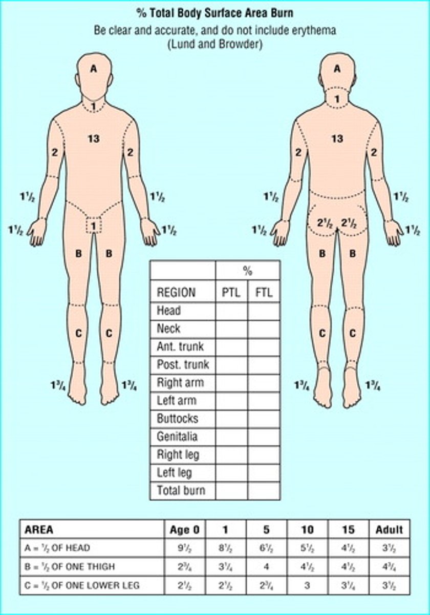 <p>total body surface area (%TBSA) either through 'rule of nines' by paramedics or on Lund and Browder chart in hospital</p>
