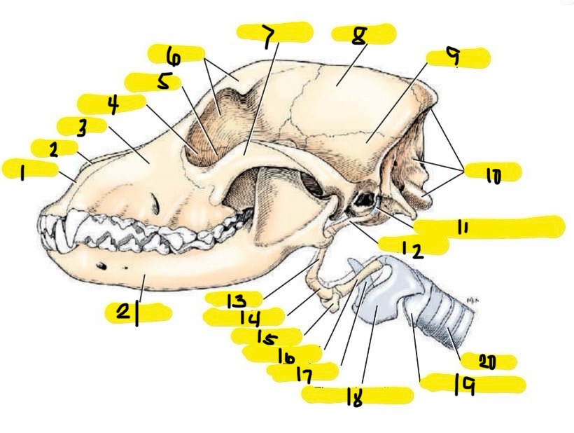 <p>9</p>