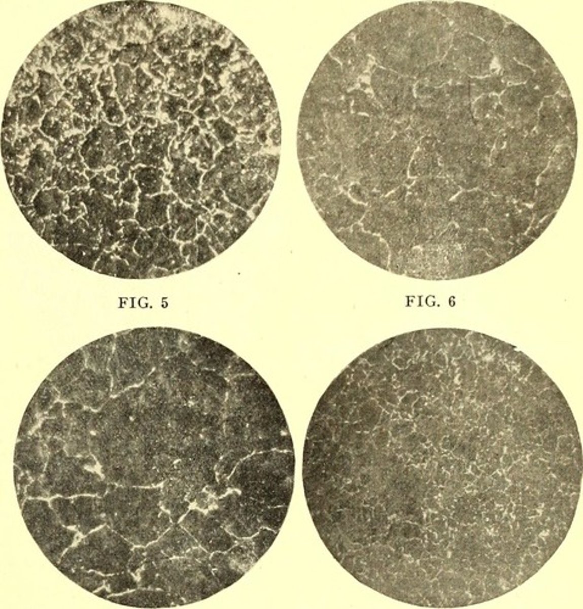 <p>ability of the hair to absorb moisture.</p>