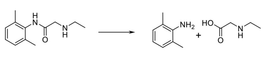 <p>Name Enzyme </p>