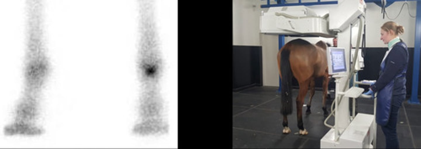 <p>[decreased/increased] bone activity -&gt; increased uptake -&gt; increase in atoms decaying -&gt; increase in signal</p>