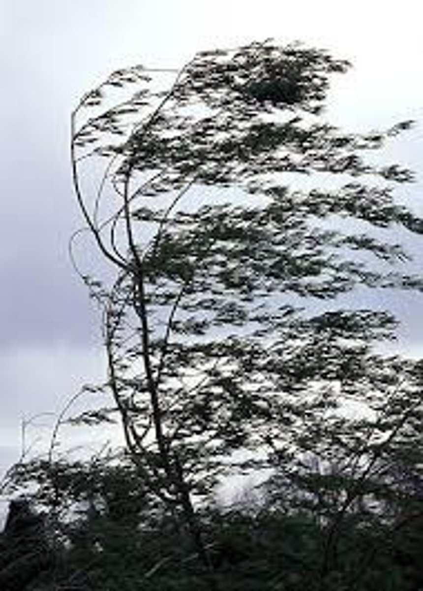 <p>It's windy.</p>