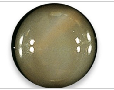 <p>What is this?</p>