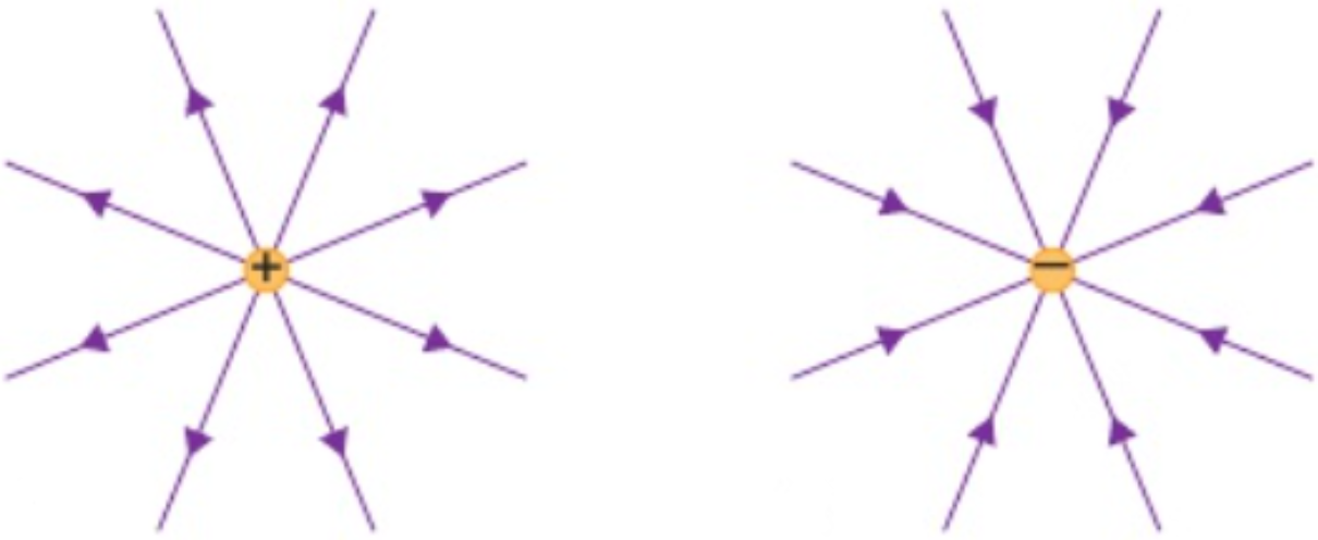 <p>away from positive</p><p>towards negative</p><p>field lines more concentrated = electric field stronger</p>