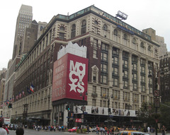<p>department store, grocery store, warehouse</p>