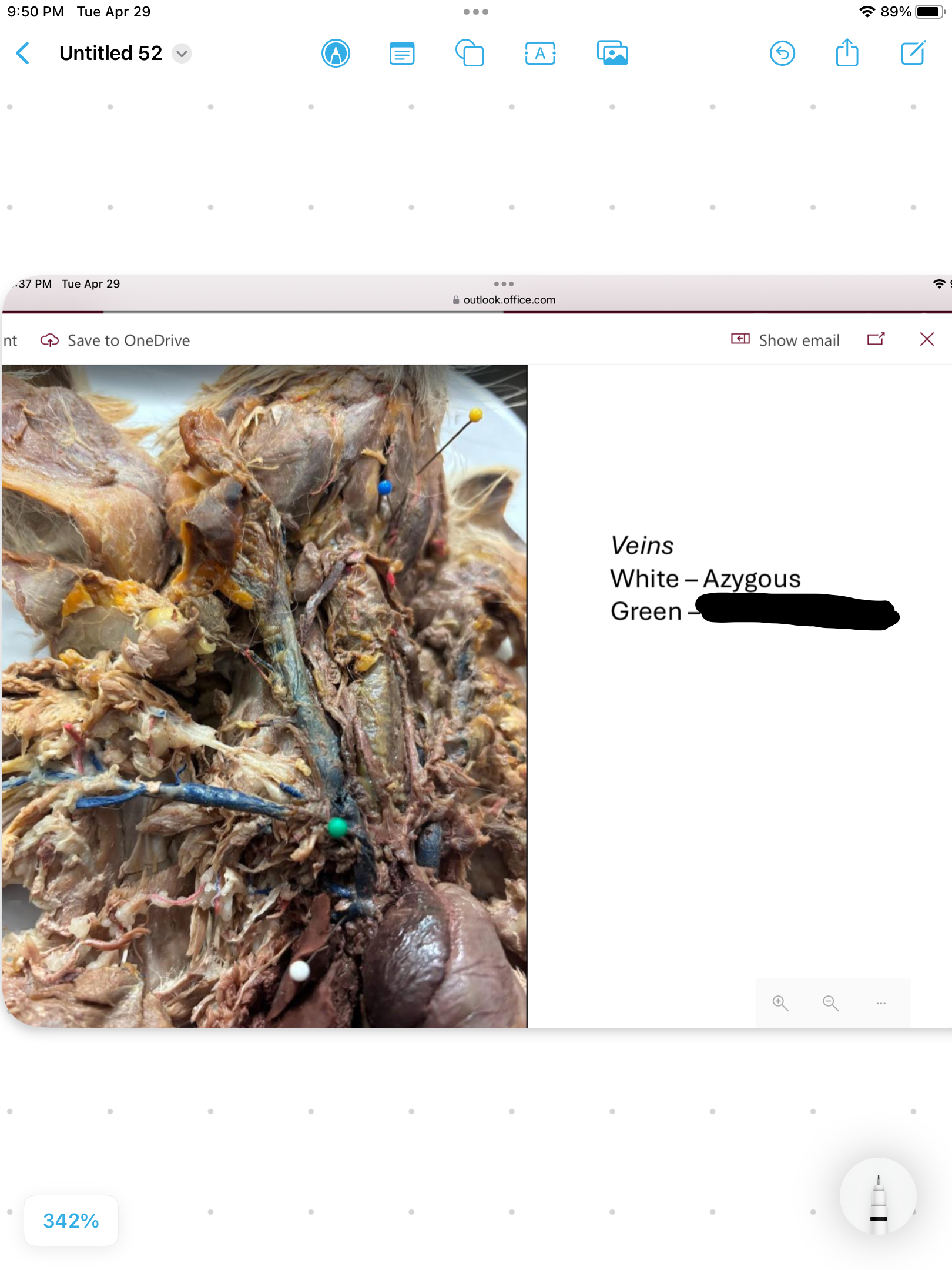 <p>label the area</p>