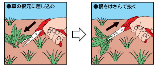 <p>ネギを抜いてください</p><p>Please leave out the green onions</p><p>to <strong>pull out</strong>, <strong>remove</strong>, <strong>omit</strong>, or even <strong>go without</strong></p>