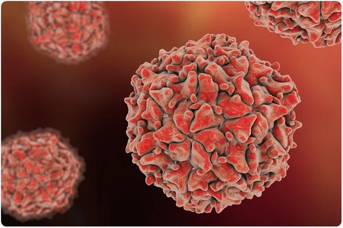<ul><li><p> non-enveloped</p></li><li><p>RNA virus </p></li><li><p>Enterovirus genus</p></li></ul><p></p>