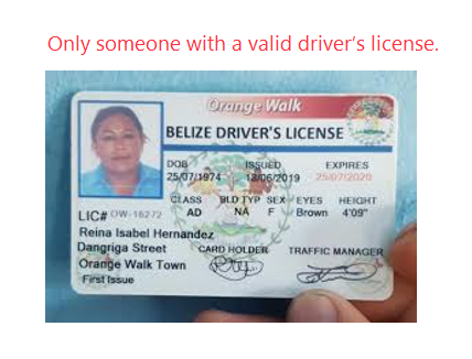 <p>Only someone with a <strong>valid driver’s license</strong>.</p>
