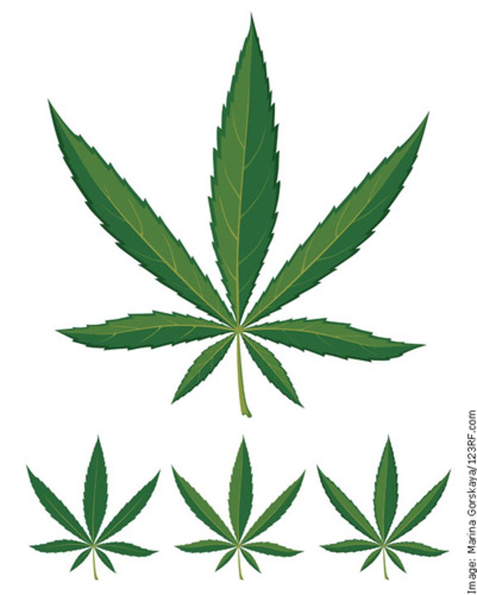 <p>The legality of medical marijuana use, which was legal in California but illegal under federal law.</p>