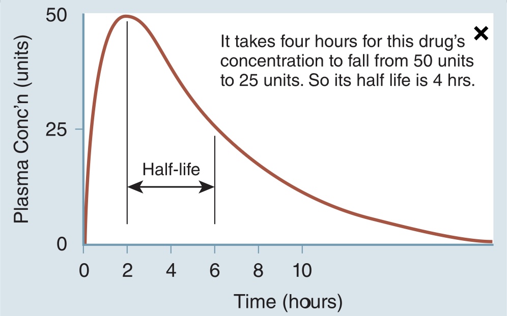 time it takes for the drug to fall to half its strength through excretion 