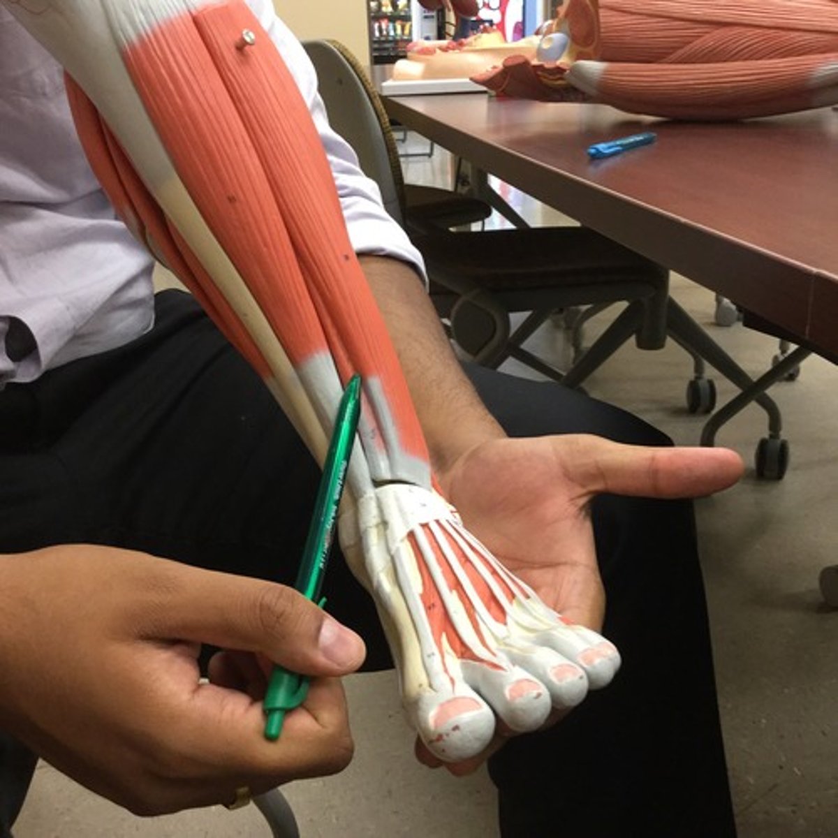 knowt flashcard image