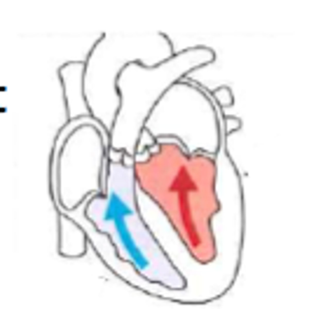 <p>volume of blood in each ventricle at end of ventricular diastole (relaxation/filling)</p>