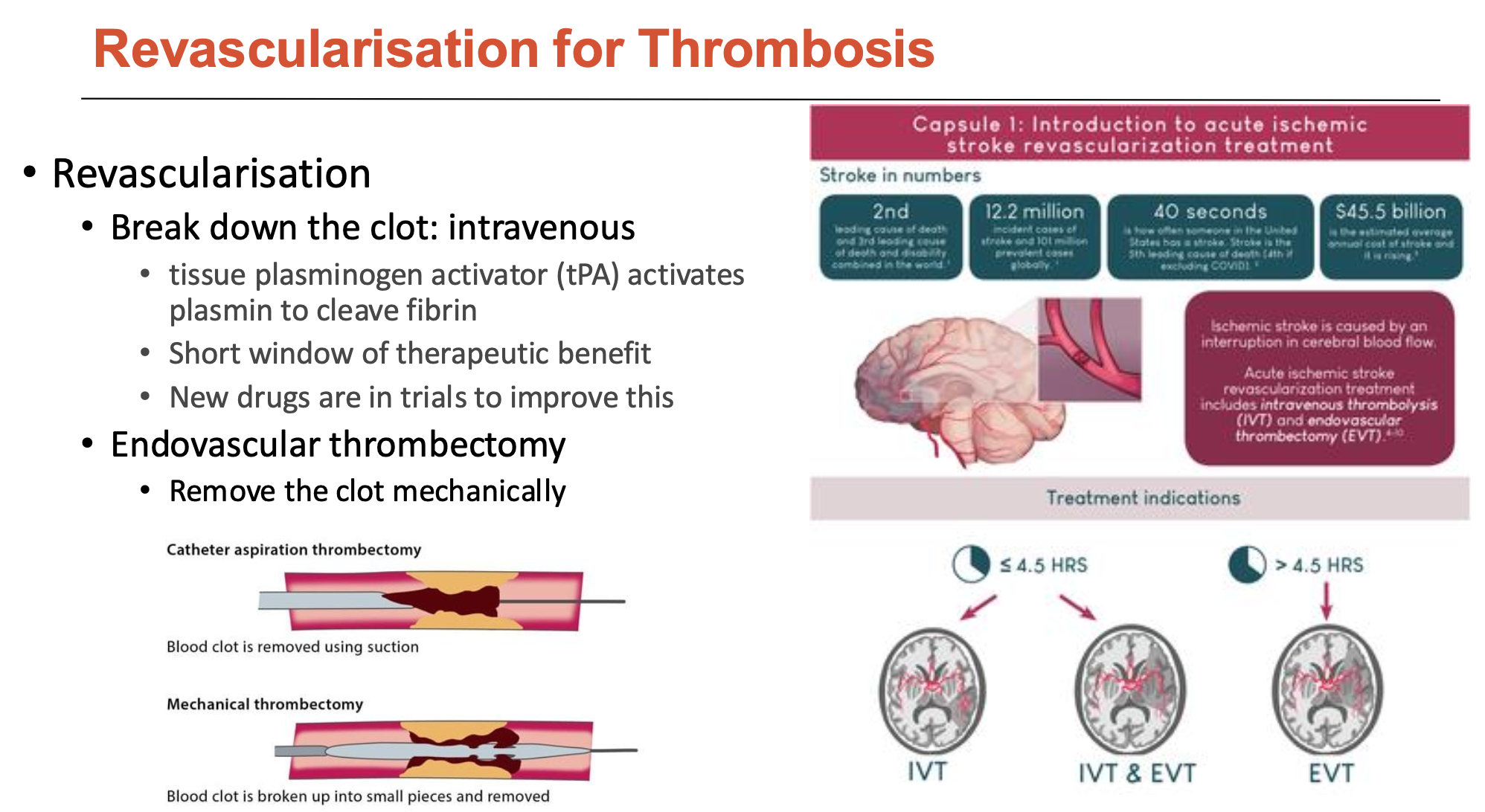 <p>Revascularisation is the process of restoring blood flow by opening up blood vessels. Can be done by:</p><ol><li><p><strong>Breaking down the clot intravenously</strong></p><ul><li><p>tissue plasminogen activator (tPA) activates plasmin to cleave fibrin</p></li><li><p>but this has a very short window of therapeutic benefit</p></li><li><p>therefore, new drugs are in trials to improve this</p></li></ul></li><li><p><strong>Endovascular thrombectomy</strong></p><ul><li><p>remove the clot mechanically</p></li></ul></li></ol><p></p>