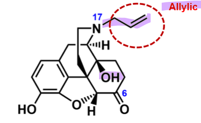 <ul><li><p>the long alykl chain (allylic) converts the molecule into antagonist</p></li><li><p>will displace opioids in mu receptors </p></li></ul><p></p>