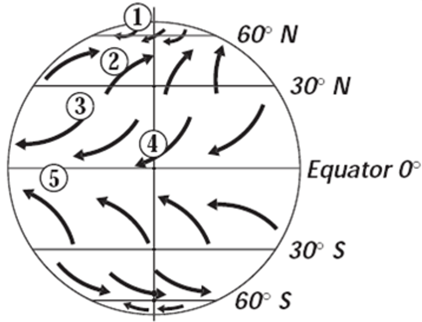 <p>The latitude that receives the most intense sunlight, which causes the ascending branches of the two Hadley cells to converge</p>