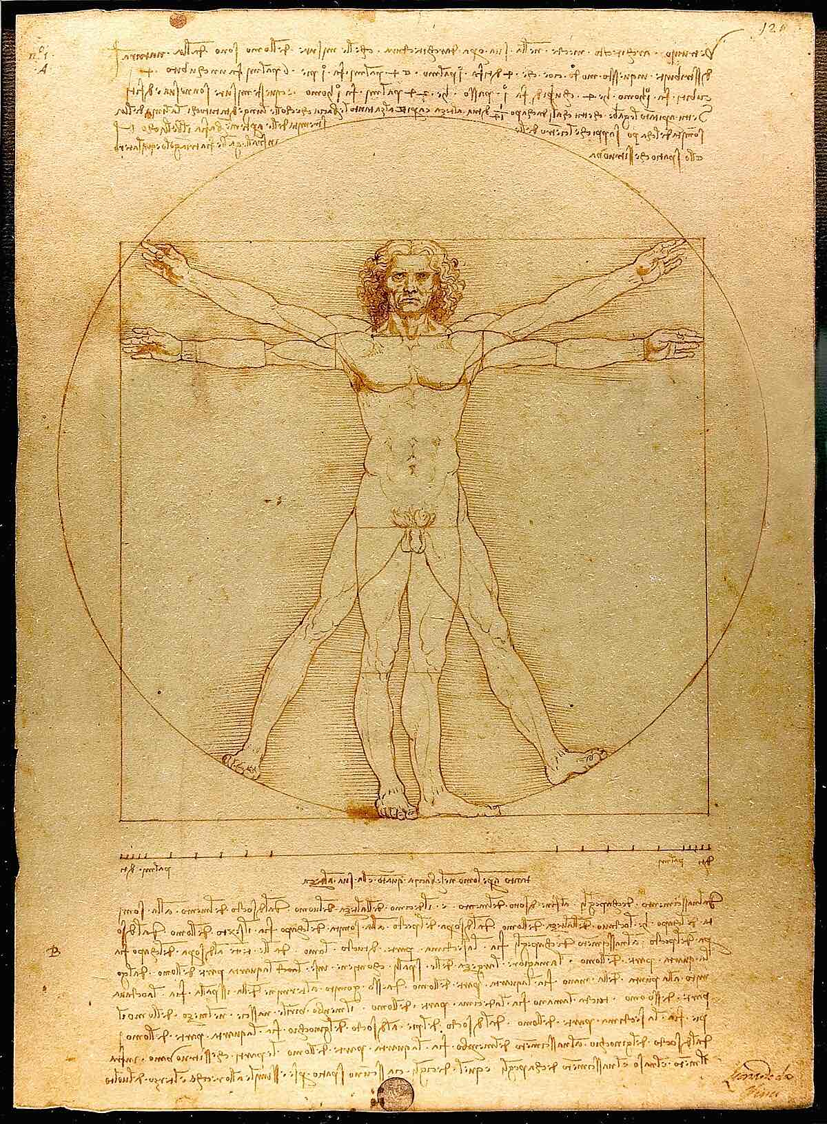 <p><em>Leonardo’s Sketchbook</em></p>