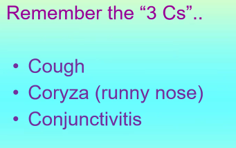 <ul><li><p>Koplik spots&nbsp;</p></li><li><p>rash first appears behind ears, forehead and nostrils then spreads to whole body; BLOTCHY appearance</p></li></ul><p></p>