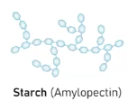 <p>It is a polysaccharide and its a major component starch in plants which has a branched structure for rapid glucose releases.</p><p>It’s main structure is categorized as having a branch structure that feature liner segment that twist into double helices, and this is due to the type of monsacchardies that influence its polymer structure and therefore its function.</p>