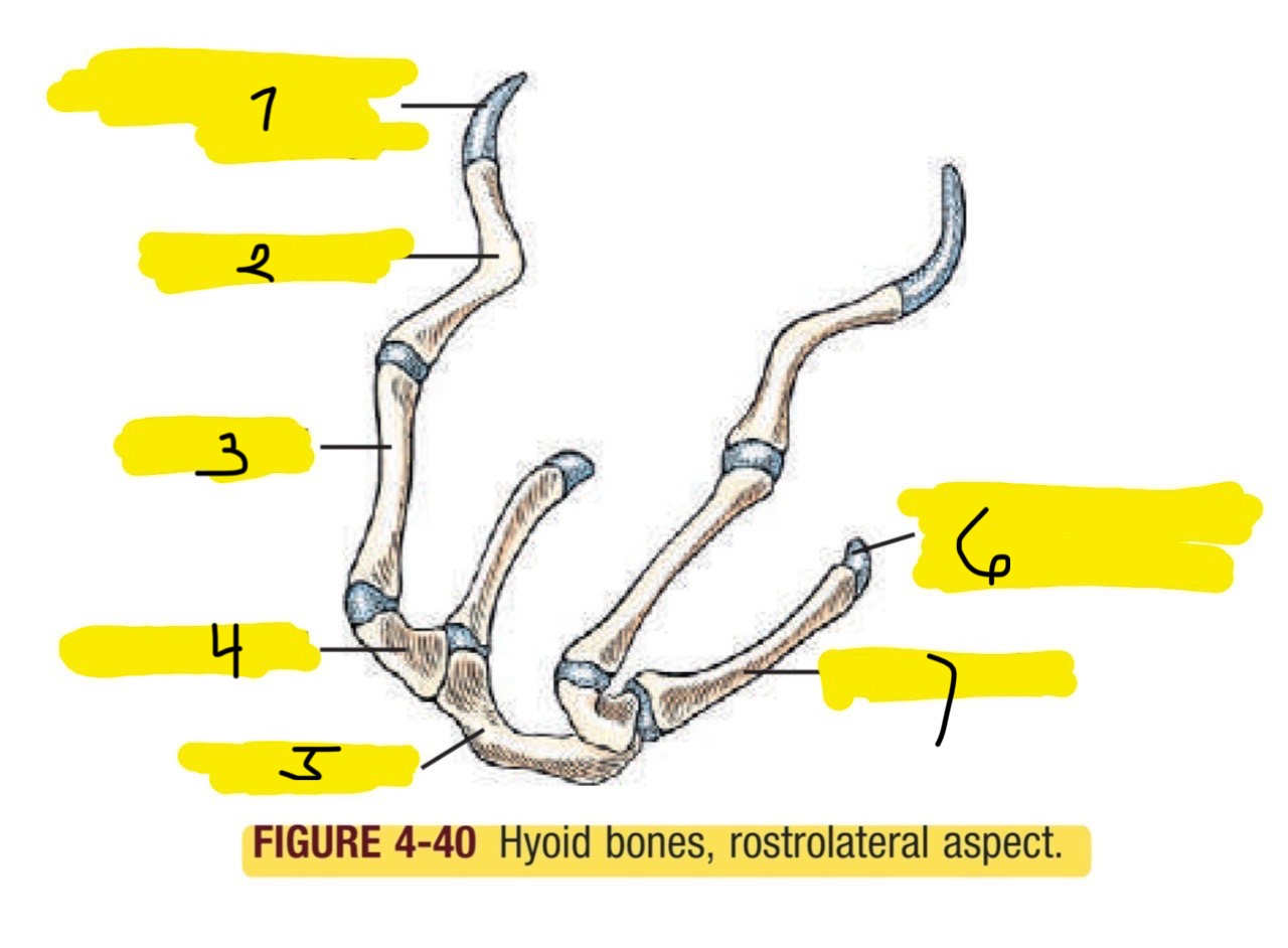 <p>2</p>