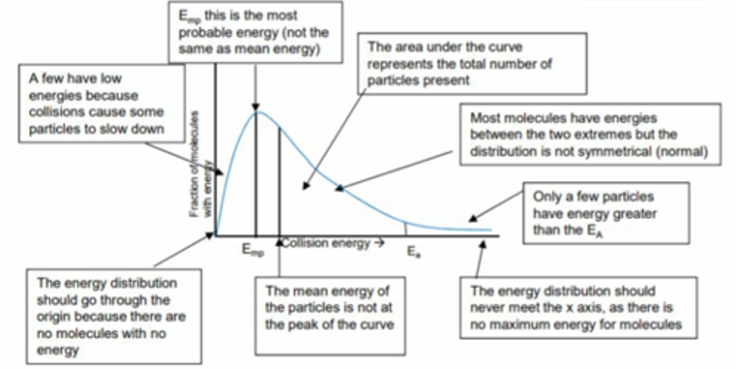 <p>It shows the distribution of kinetic energies for all molecules in a sample.</p>