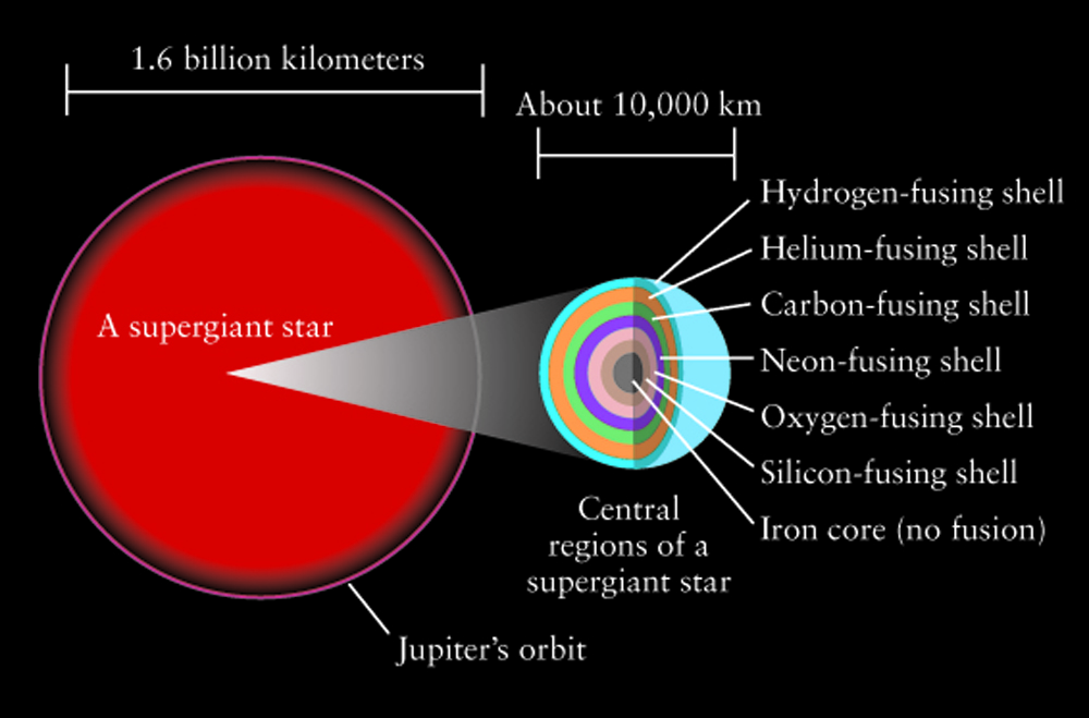 <ul><li><p>Helium fusing to make carbon </p></li></ul><ul><li><p>If hot enough, carbon fuses to make oxygen </p></li><li><p>oxygen to make neon and so on </p></li><li><p>Successive stages of fusion occur in shells around the core </p></li><li><p>No fusion in outer layers of the star </p></li></ul><p></p>