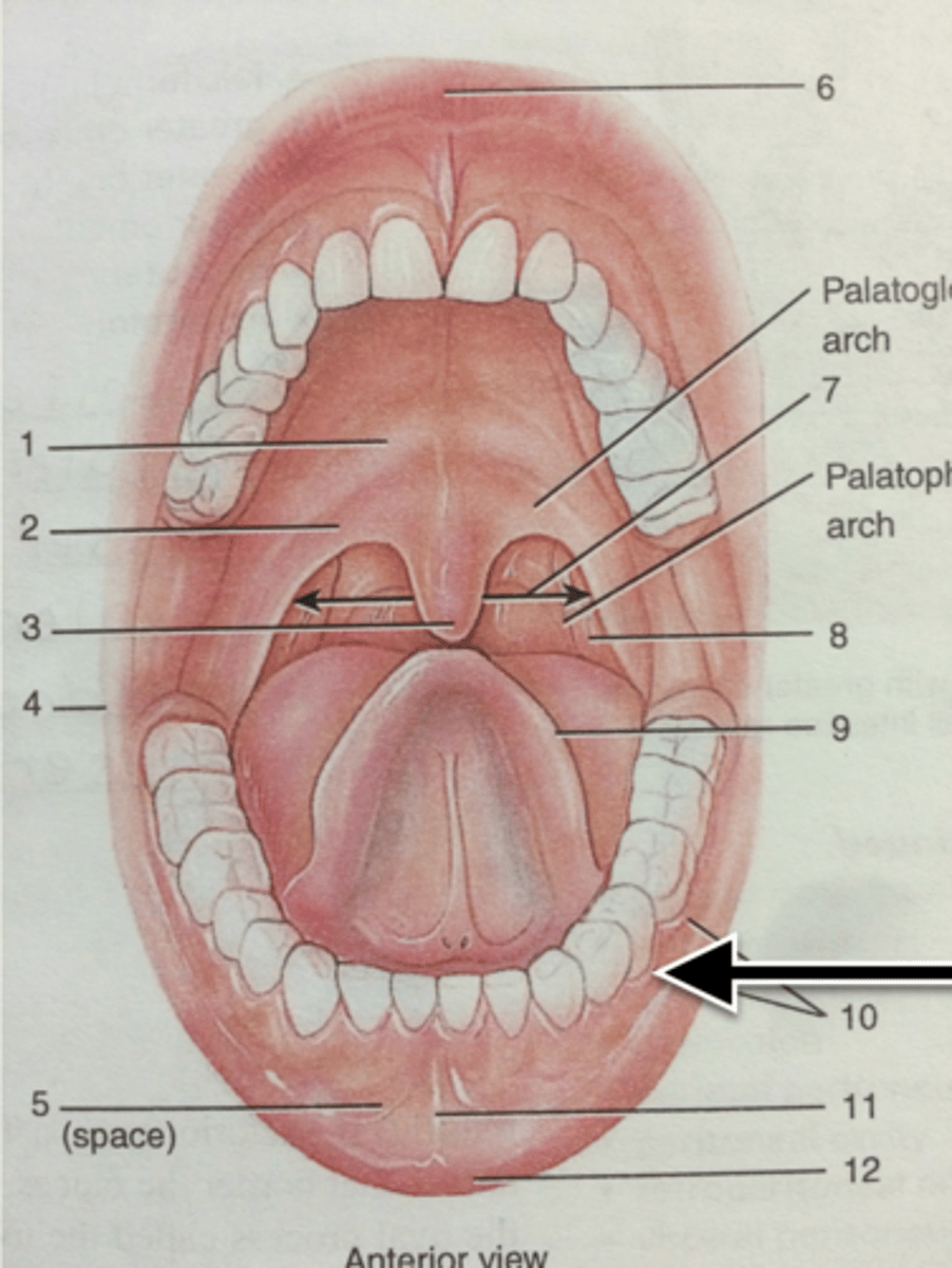 knowt flashcard image