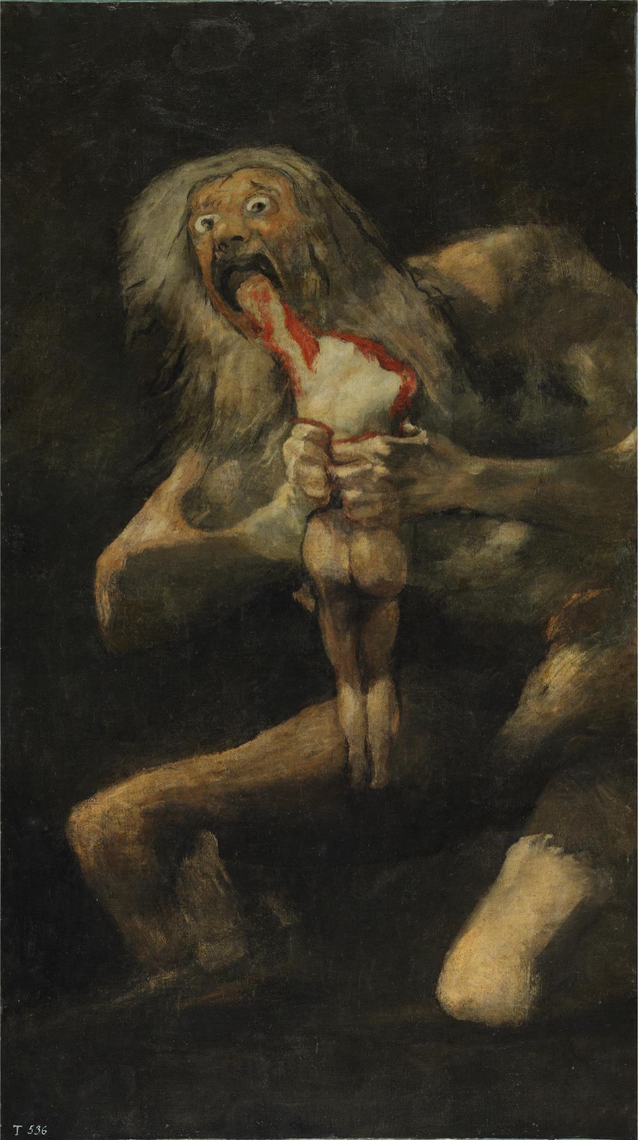 term image