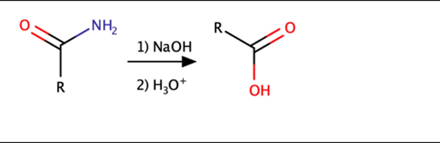 <p>Carboxylic acid</p>
