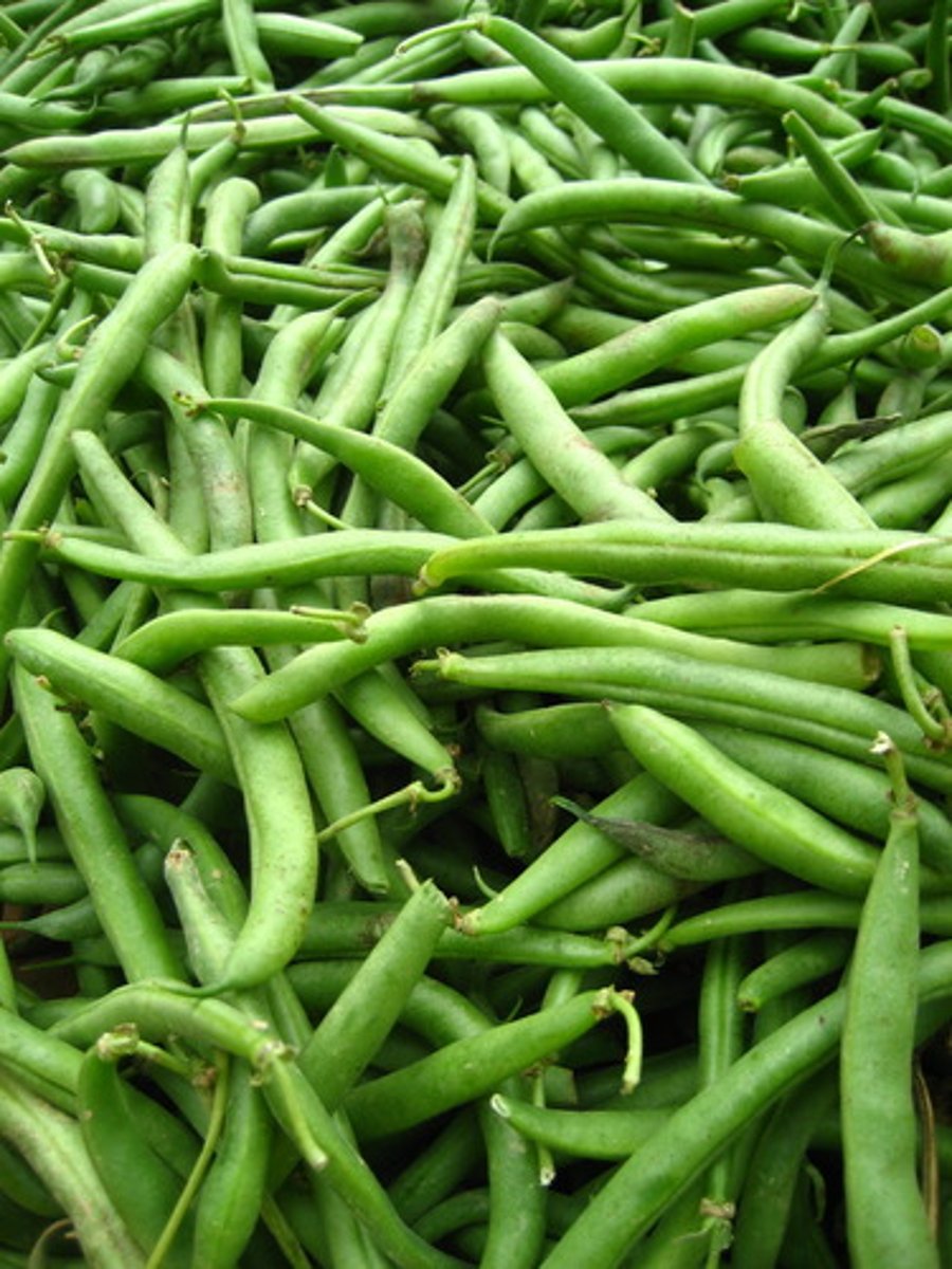 <p>стручковая фасоль</p>